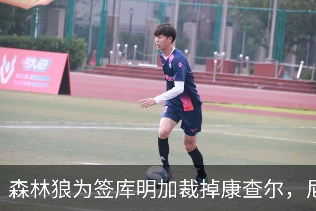 森林狼为签库明加裁掉康查尔，尼克斯或成其下家